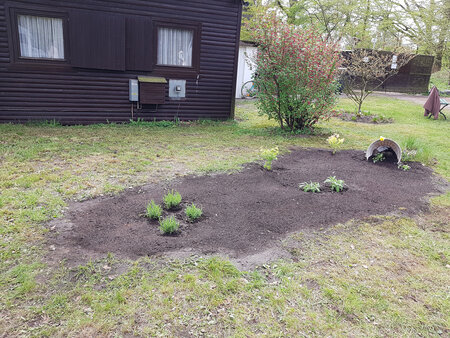 Ein Gartenbereich mit frisch bepflanzten Blumen und Kräutern in einer ovalen Form. Im Hintergrund steht ein Holzgebäude mit zwei Fenstern und einem Briefkasten. Einige Sträucher und ein umgedrehtes Blumentopf sind sichtbar. Der Boden ist größtenteils unkrautfrei.