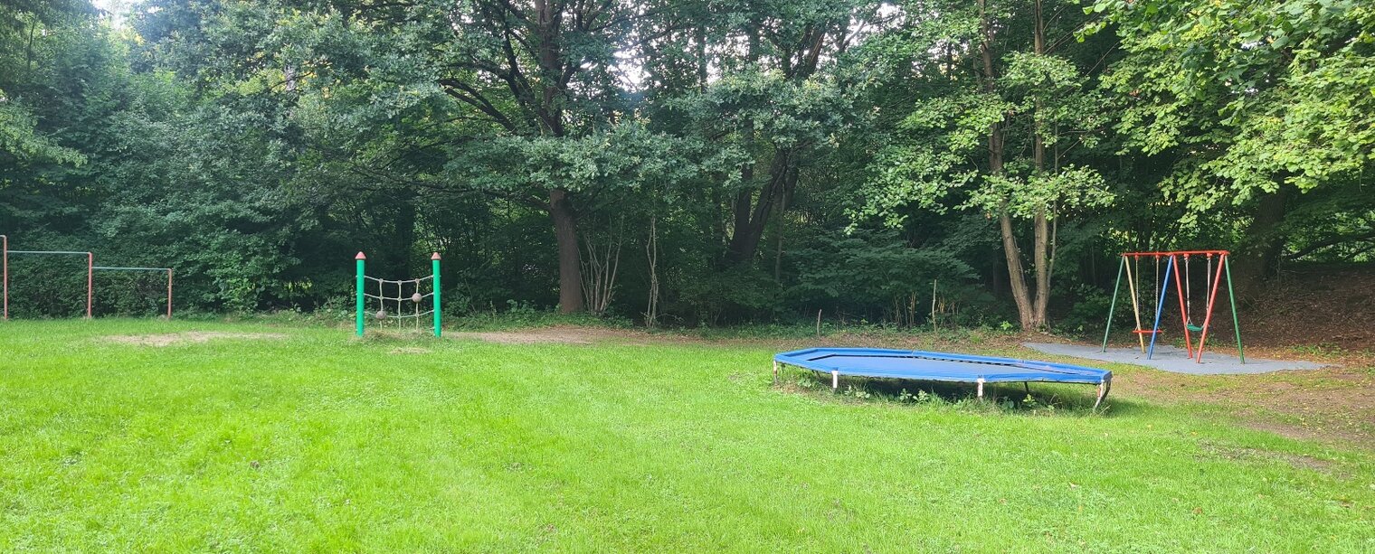 Eine Spielplatzszene mit einer großen, grünen Wiese. Auf der linken Seite sind Fußballtore, in der Mitte ein Klettergerüst und rechts eine Schaukel. Im Hintergrund wachsen Bäume und Sträucher. Der Himmel ist bewölkt.