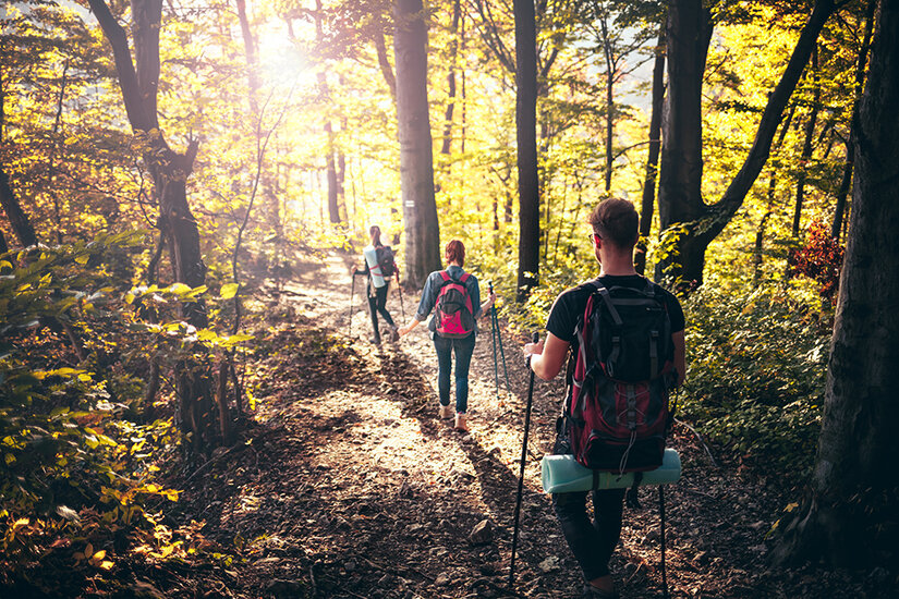 Drei Wanderer bewegen sich auf einem schmalen Pfad durch einen herbstlichen Wald. Die Sonne strahlt durch die Bäume und taucht die Szene in warmes Licht. Die Gruppe trägt Rucksäcke und einige halten Wanderstöcke.