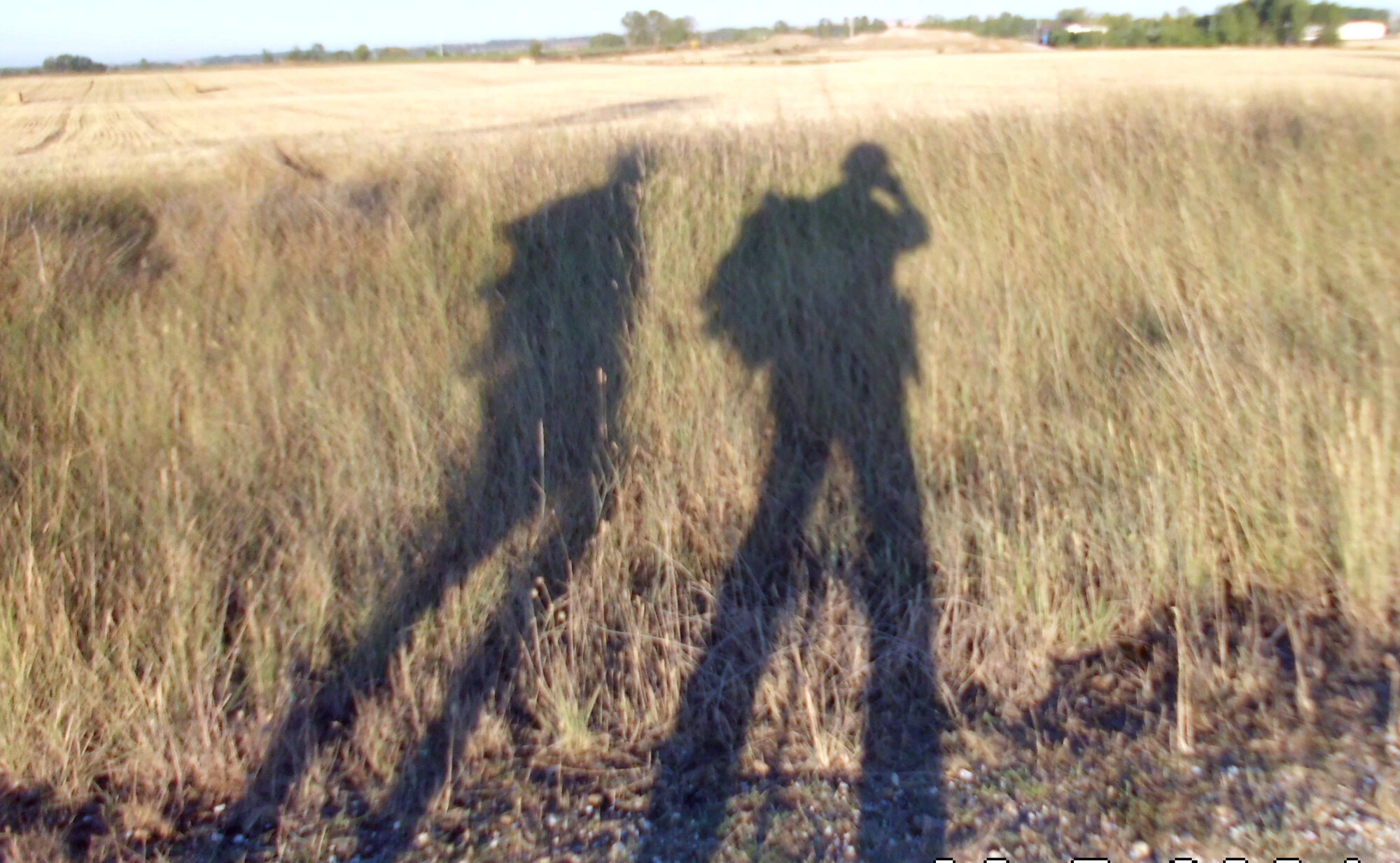 Schatten von zwei Personen, die in ein Feld mit hohem Gras stehen. Die Silhouetten sind deutlich sichtbar, während der Hintergrund aus einem weiten, offenen Landschaftsbereich besteht.